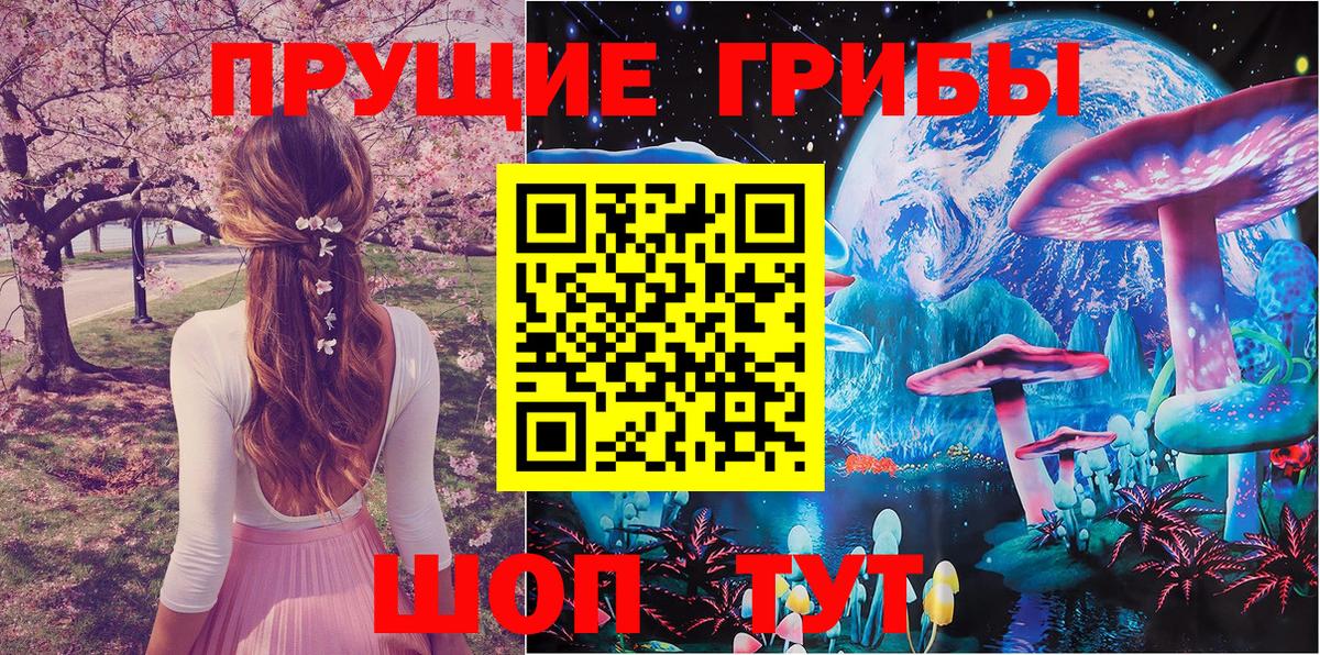 Псилоцибиновые грибы прущие грибы Павловский Посад