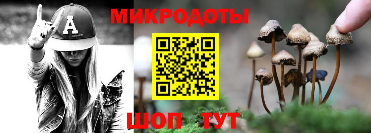 Псилоцибиновые грибы Psilocybe  Вход с VPN  Павловский Посад 